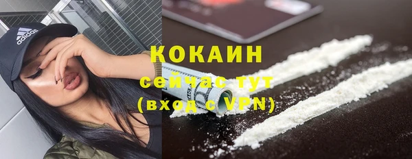 бошки Инта