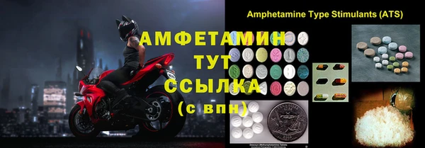 мяу мяу мука Иннополис