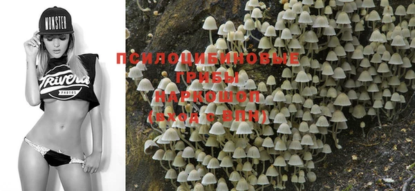 бошки Инта