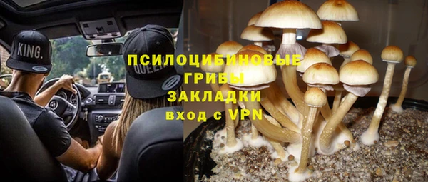 мяу мяу мука Иннополис