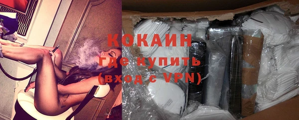 бошки Инта