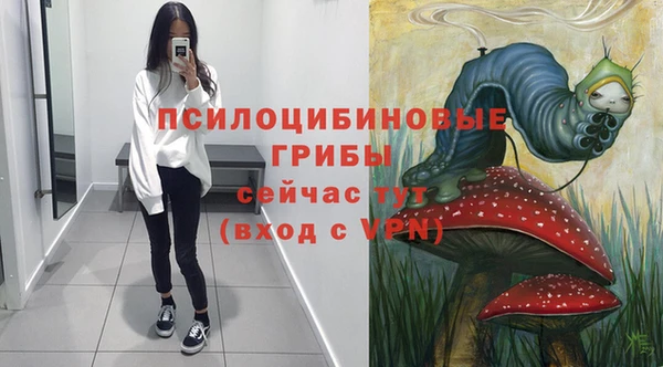 бошки Инта