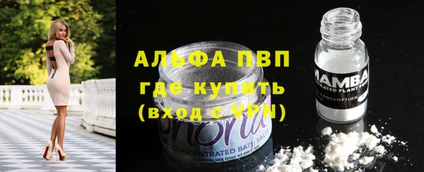 мяу мяу мука Иннополис