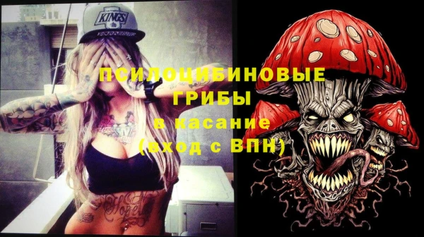 бошки Инта