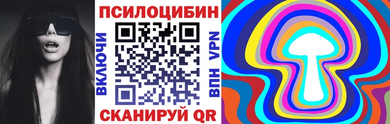 Купить где  Дальнегорск  Псилоцибиновые грибы Cubensis 