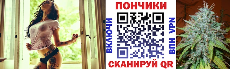 Купить где  Дальнегорск  Бошки Шишки ГИДРОПОН 